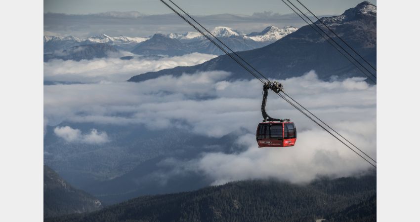 Whistler Experience