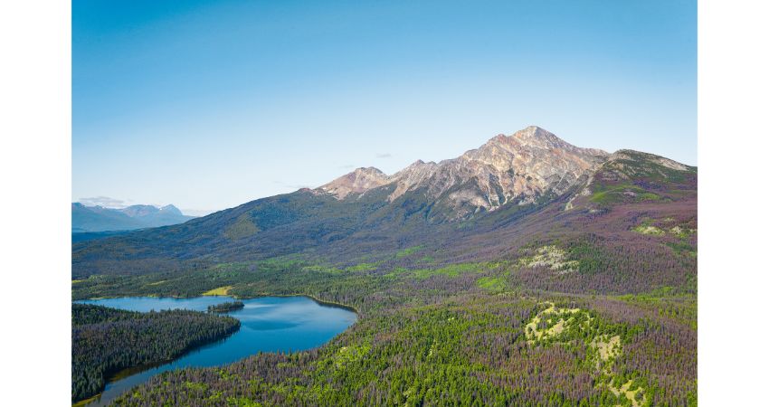 Explore Jasper & Lake Maligne Cruise