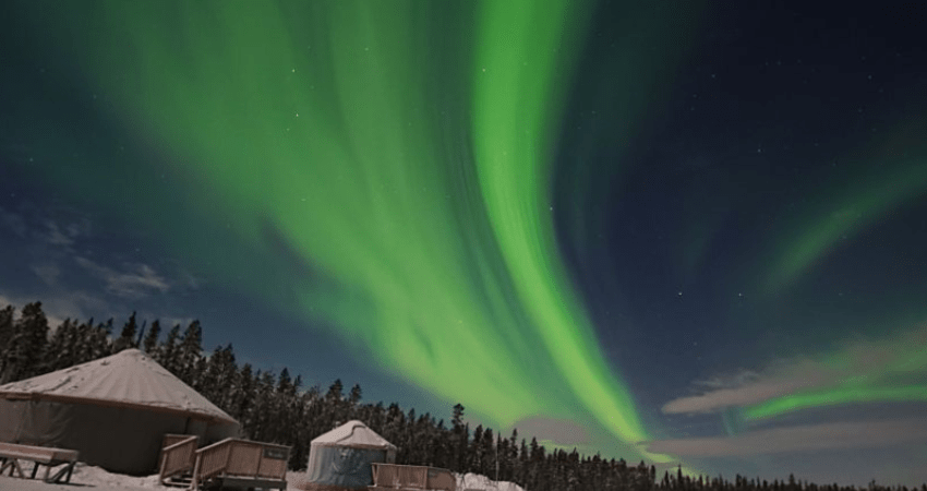 Best Value Aurora Viewing - Snowshoeing & Ice fishing, Wildlife & Hot Springs - Winter - Whitehorse, YT