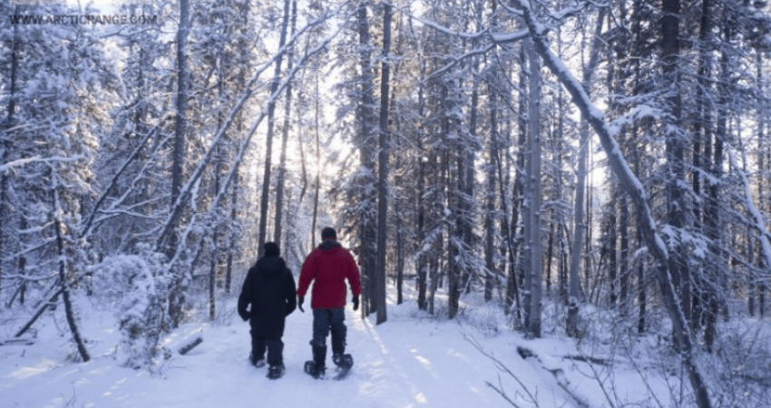 Best Value Aurora Viewing - Snowshoeing & Ice fishing, Wildlife & Hot Springs - Winter - Whitehorse, YT