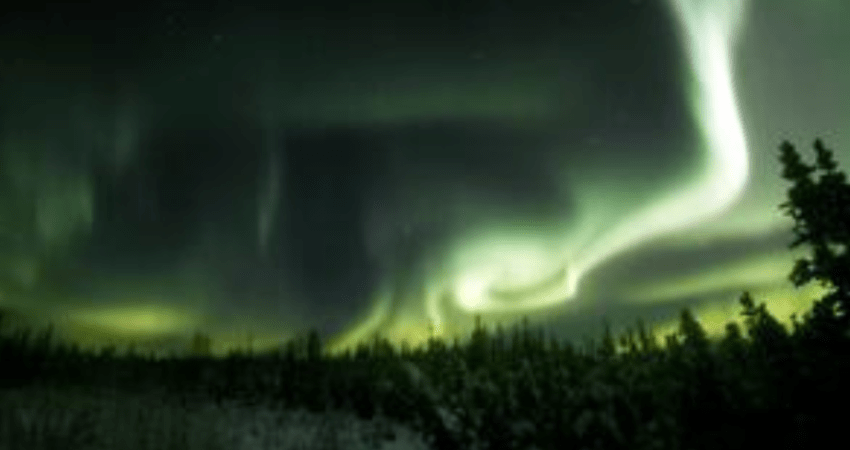 Best Value Aurora Viewing - Snowshoeing & Ice fishing, Wildlife & Hot Springs - Winter - Whitehorse, YT