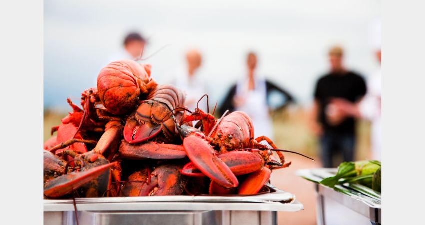 Pointe-du-Chêne, NB - Shediac Lobster Tales Tour