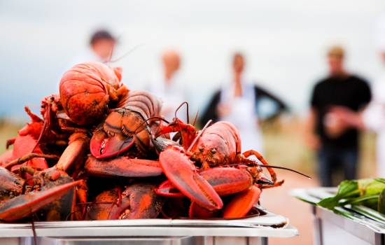 Pointe-du-Chêne, NB - Shediac Lobster Tales Tour