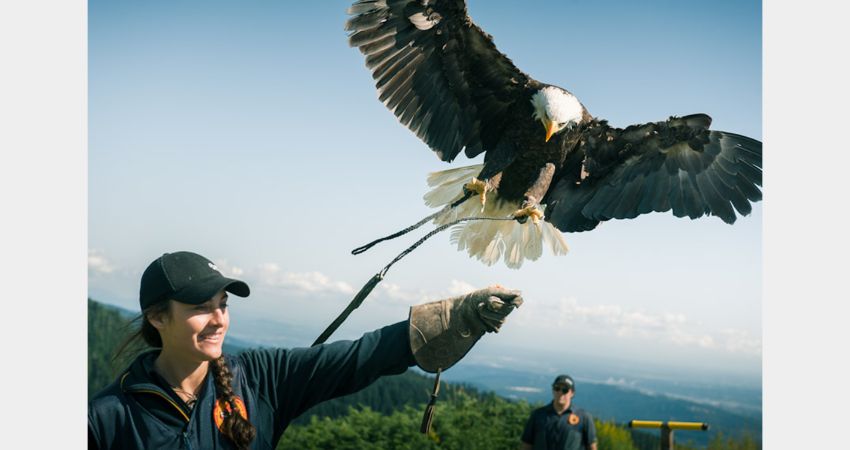 Vancouver – Grouse Mountain and Capilano Suspension Bridge Park