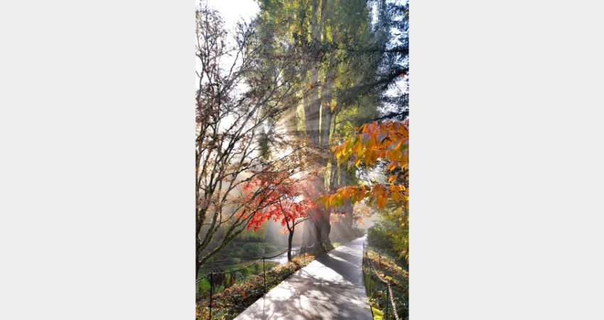 Victoria – Victoria and Butchart Gardens Tour