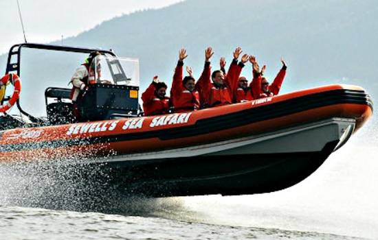 Vancouver – Sea to Sky Highlights & 1 Hour Sea Safari Boat Tour