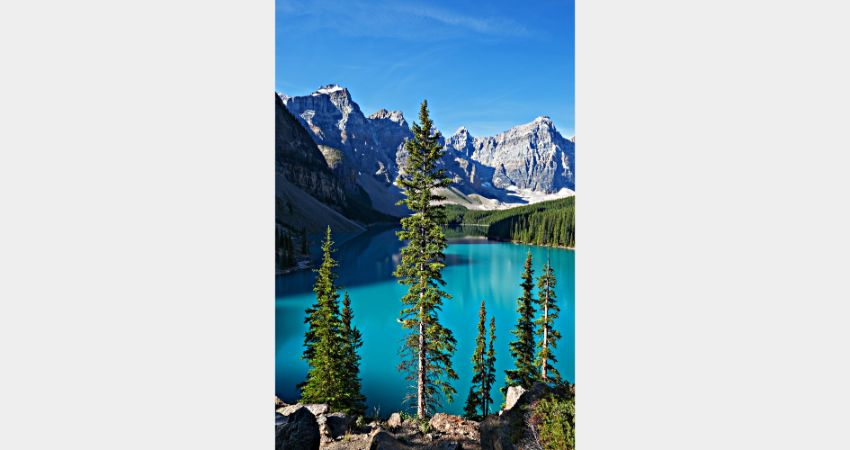 Lake Louise & Moraine Lake Tour