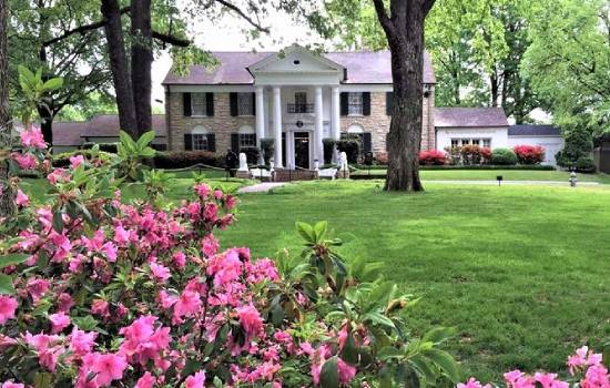 Nashville to Memphis Daytrip with Graceland VIP Tour and Sun Studio Admission