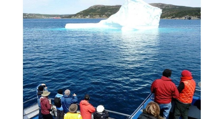 St. Johns, NL - Newfoundland Puffin and Whale Watch Cruise