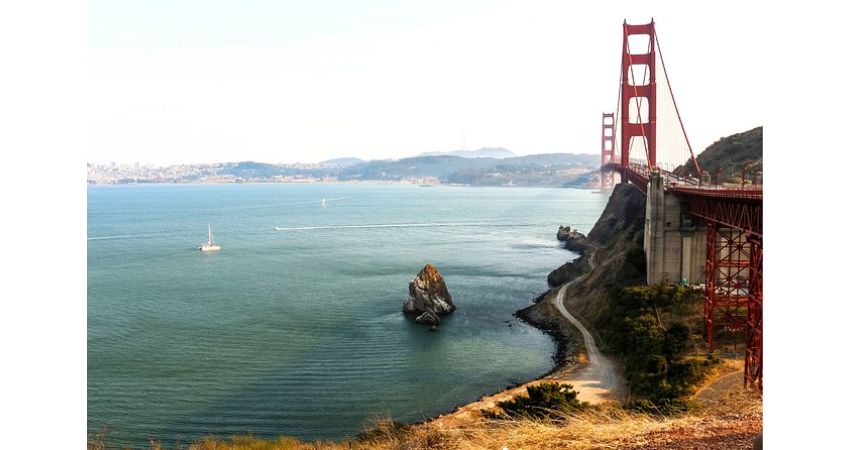 Muir Woods and Sausalito Half Day Tour