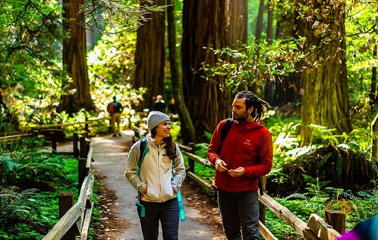 Muir Woods and Sausalito Half Day Tour