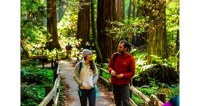 Muir Woods and Sausalito Half Day Tour