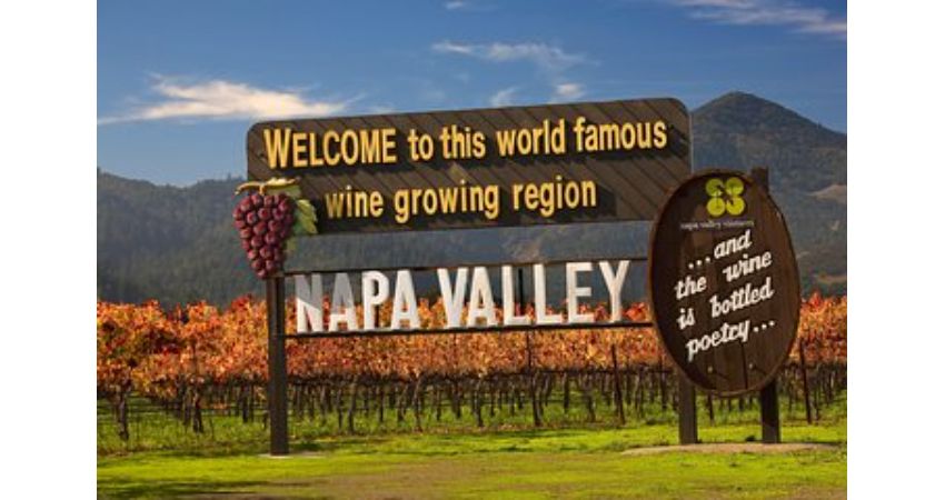 Napa and Sonoma Wine Country Full-Day Tour