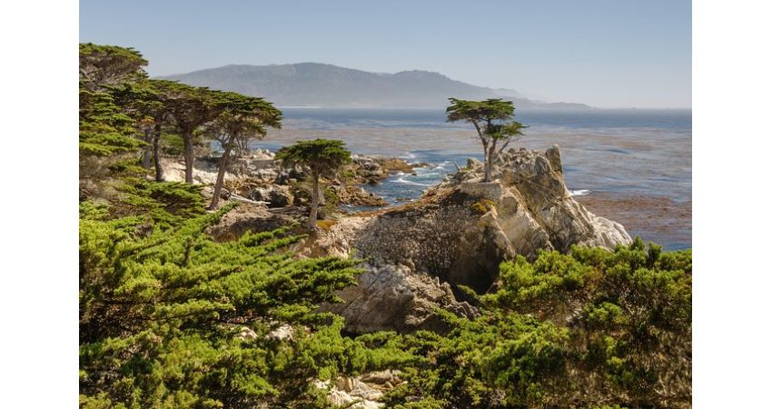 17-Mile Drive, Carmel and Monterey Private Tour