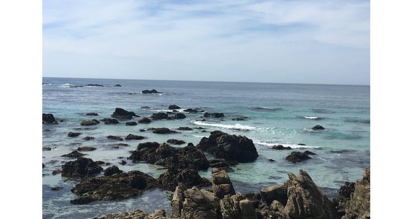 17-Mile Drive, Carmel and Monterey Private Tour