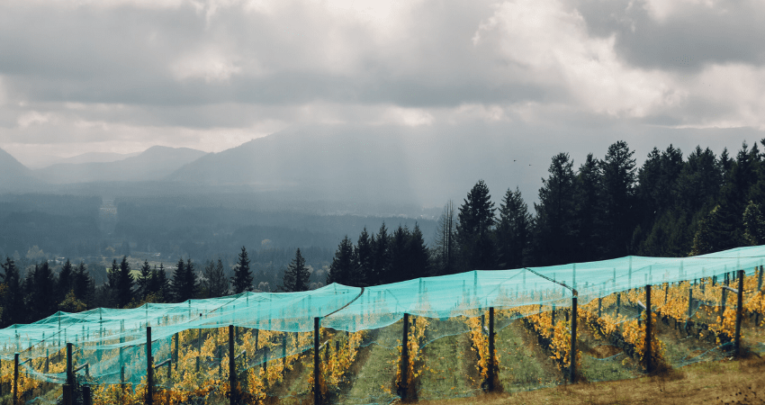 Private VIP Tour - Cowichan Valley Wine Tasting, Victoria