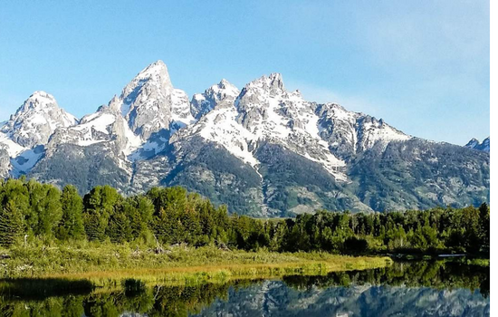 Grand Teton & Yellowstone Wildlife Encounters: Geysers to Grizzlies!