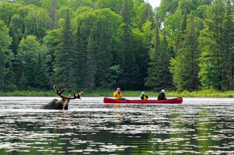 Algonquin Park 3 Days Classic Guided Canoe Adventures