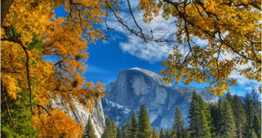 Yosemite and Giant Sequoias Tour