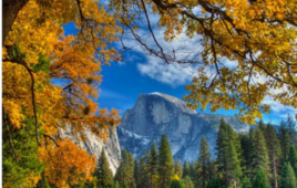 Yosemite and Giant Sequoias Tour