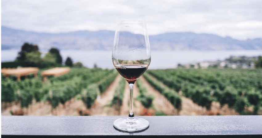 Napa and Sonoma Wine Country Private Tour