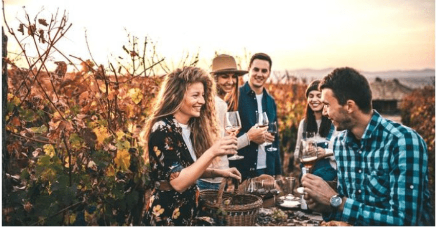 Napa and Sonoma Wine Country Private Tour