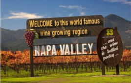 Napa and Sonoma Wine Country Private Tour