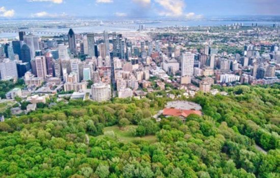 Vibrant Montreal Escape