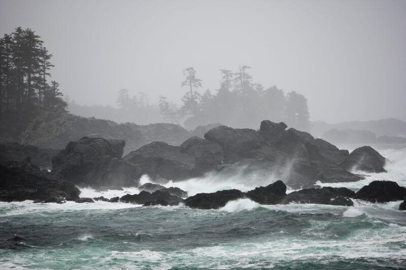 Vancouver Island Luxury Tour  