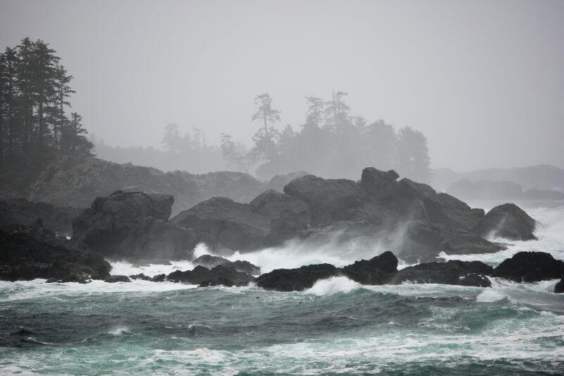Vancouver Island Luxury Tour  