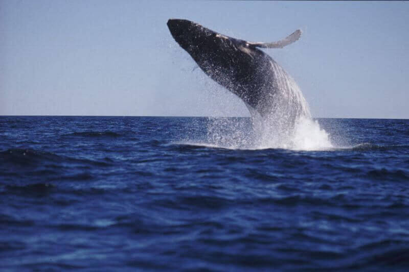 Vancouver Island Luxury Tour  