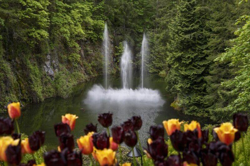 Vancouver Island Luxury Tour  