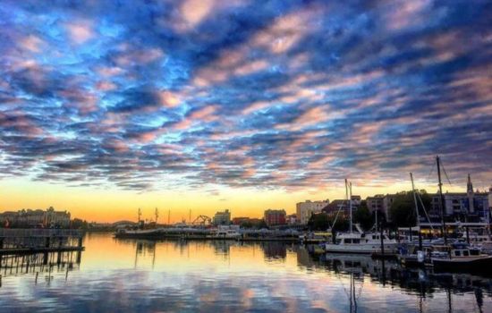 Vancouver Island Luxury Tour  