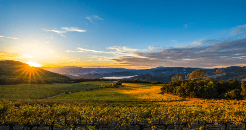 Explore San Francisco Napa and Beyond Unforgettable Journeys Await