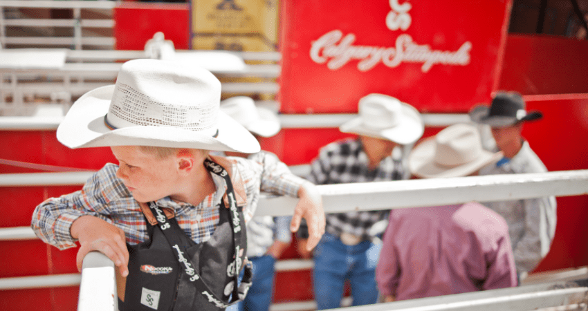 Stampede Adventure: Calgary's Wild West Spectacle