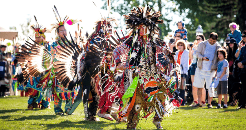 Stampede Adventure: Calgary's Wild West Spectacle