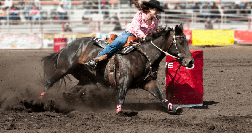 Stampede Adventure: Calgary's Wild West Spectacle