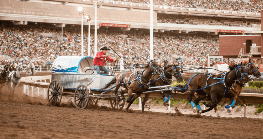 Stampede Adventure: Calgary's Wild West Spectacle