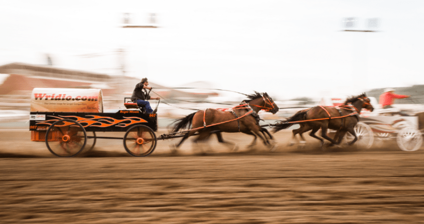 Stampede Adventure: Calgary's Wild West Spectacle