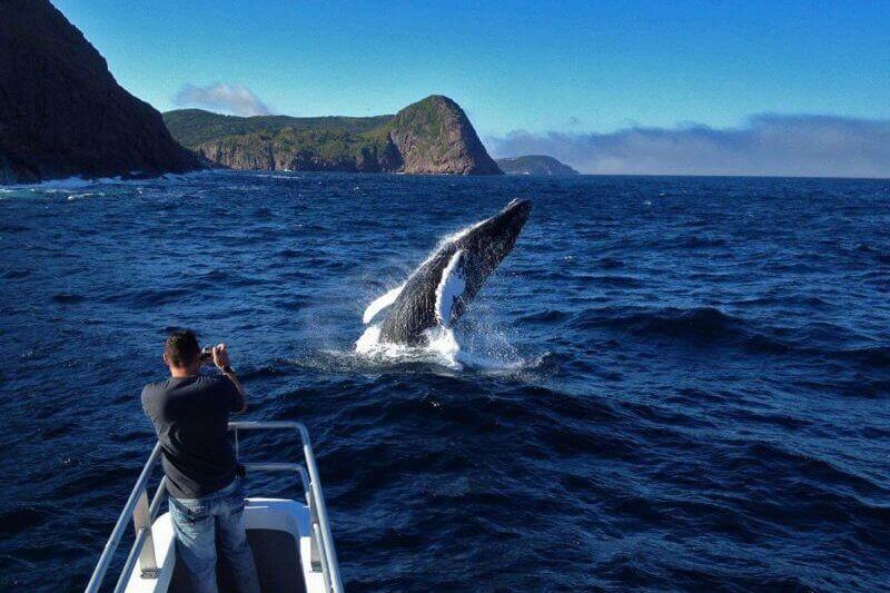 St. Johns, NL Experience