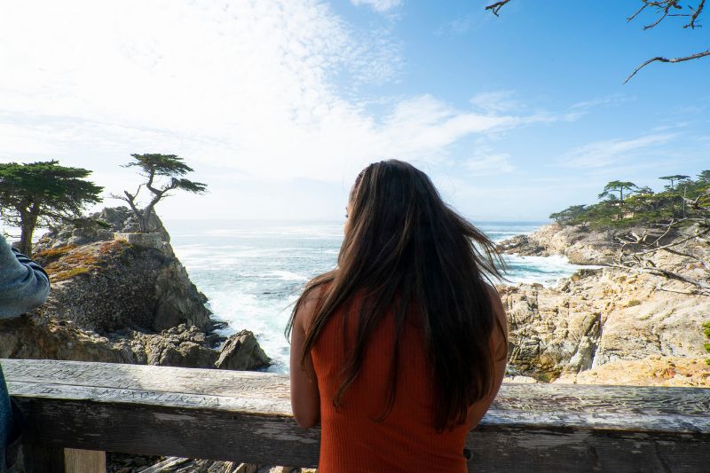 Experience Unmatched Luxury Premium San Francisco Tours