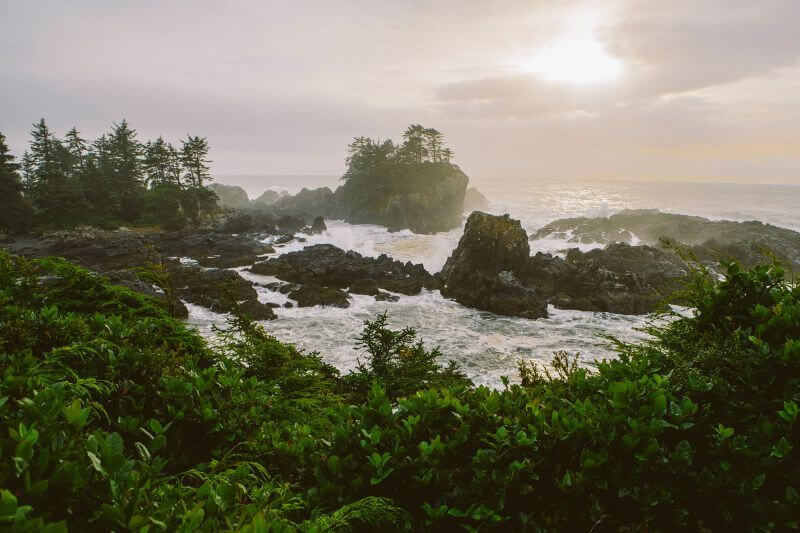 Vancouver Tofino LUXE TOUR