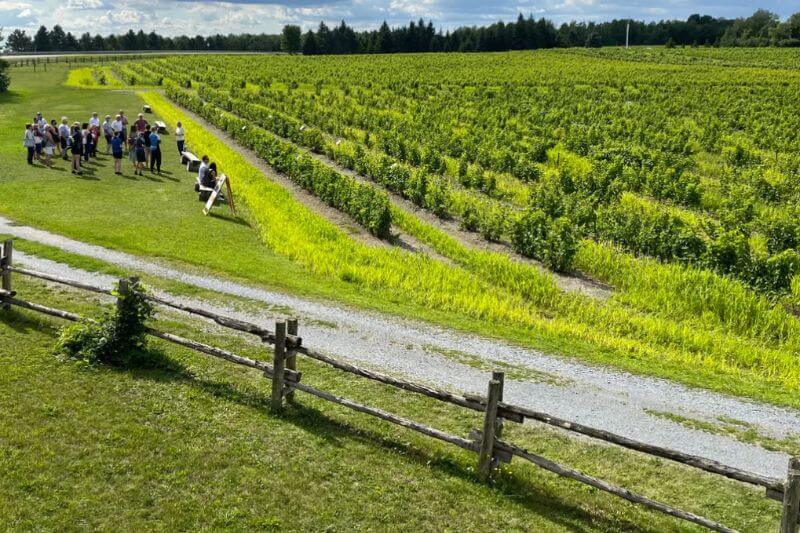 Unveil Luxury: Exclusive Montreal & Quebec City Escape