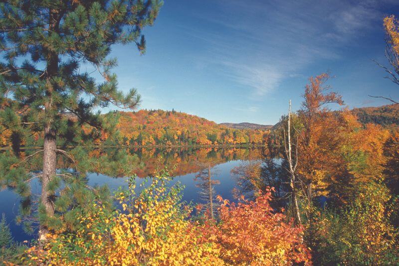 Laurentides Fall Colours Tour