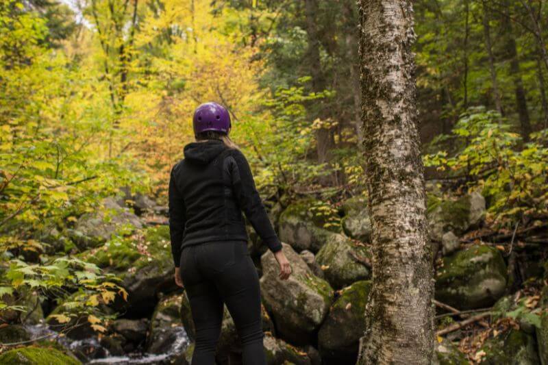 Laurentides Fall Colours Tour