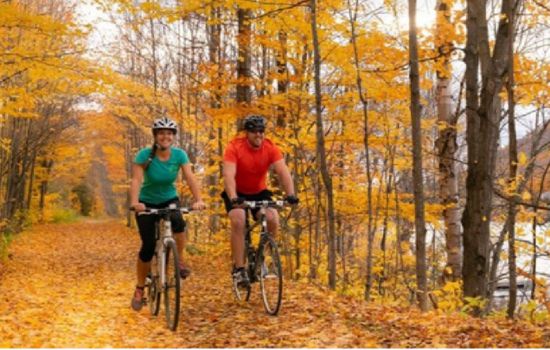 Laurentides Fall Colours Tour