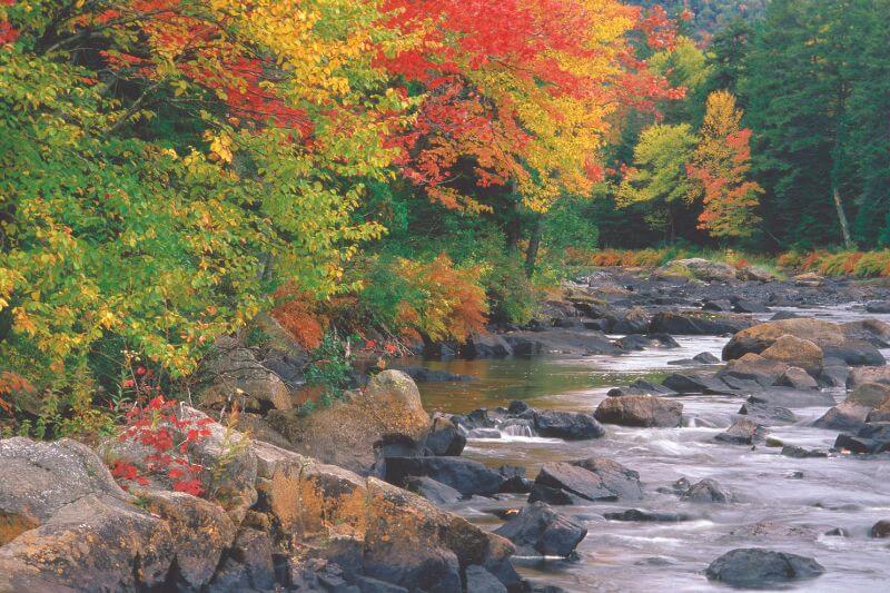Laurentides Fall Colours Tour