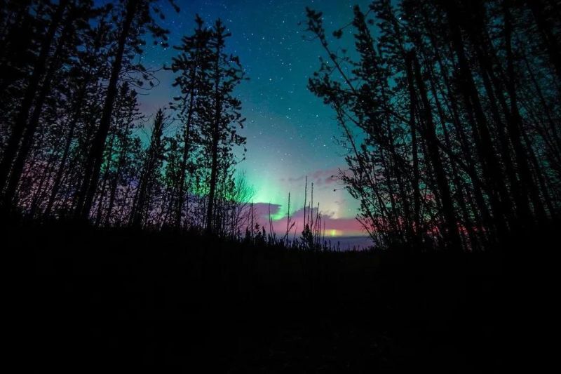 Indigenous Cultural Experience: Alberta's Starlit Teepees