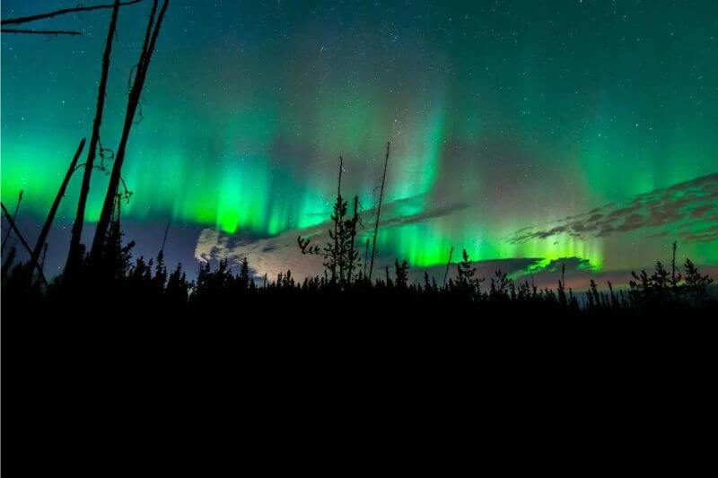 Indigenous Cultural Experience: Alberta's Starlit Teepees