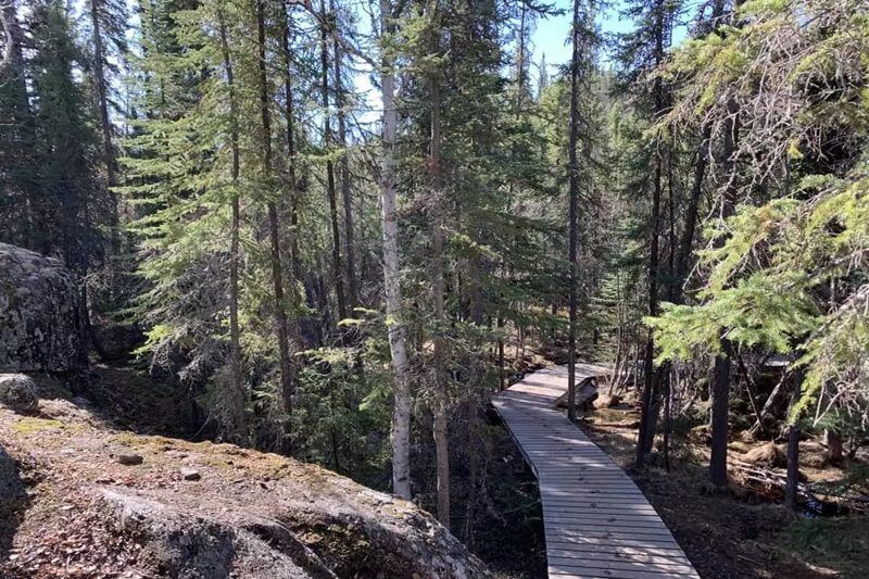 Indigenous Cultural Experience: Alberta's Starlit Teepees